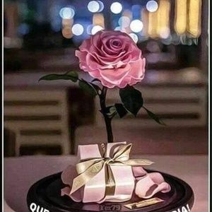 Meet your Posher, Aurelia